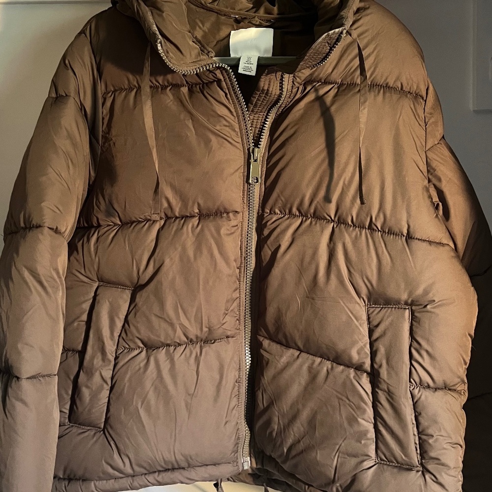 Green Puffer - image 1